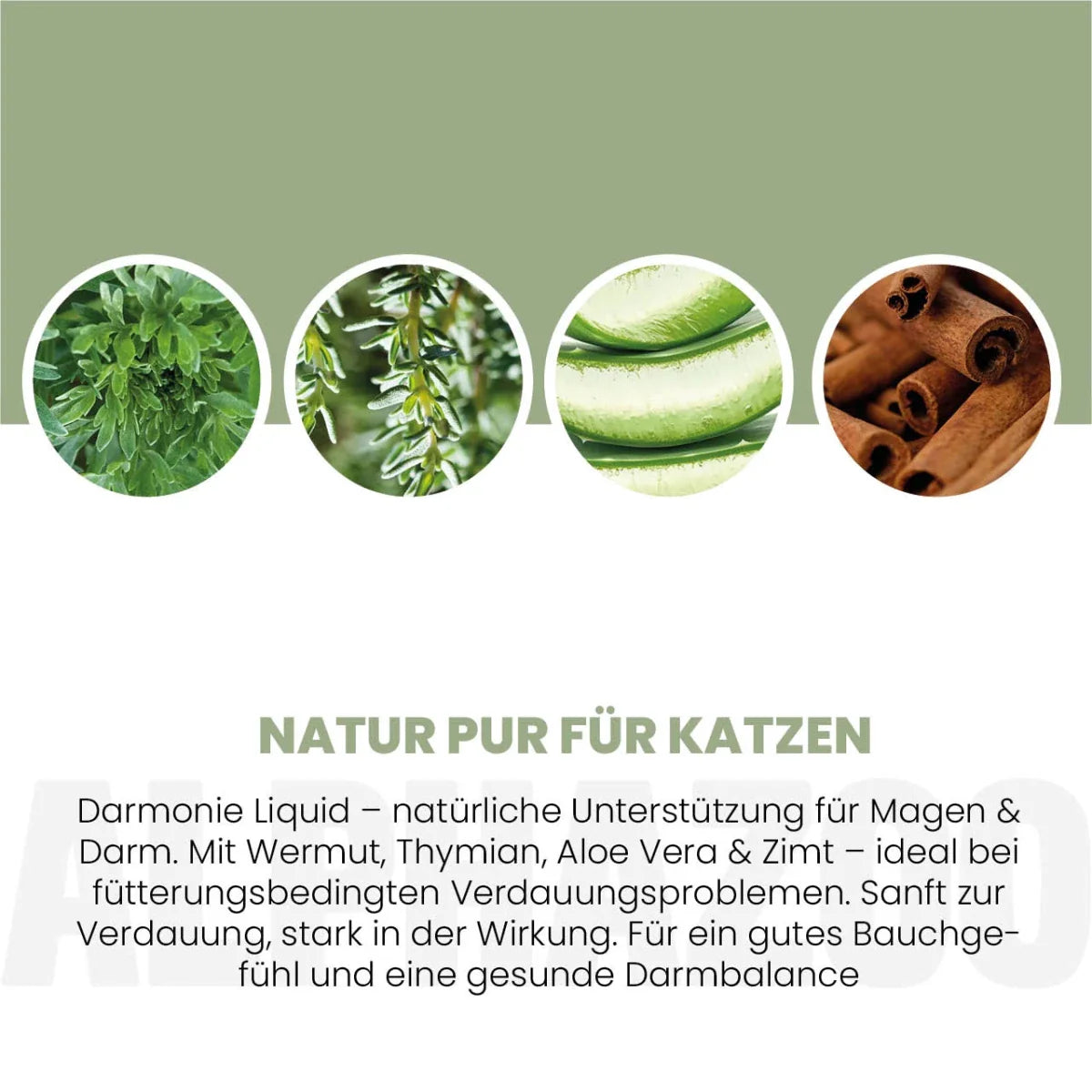 alphazoo Darmonie Liquid für Katzen – Ergänzungsfutter bei Verdauungsproblemen, 100 ml