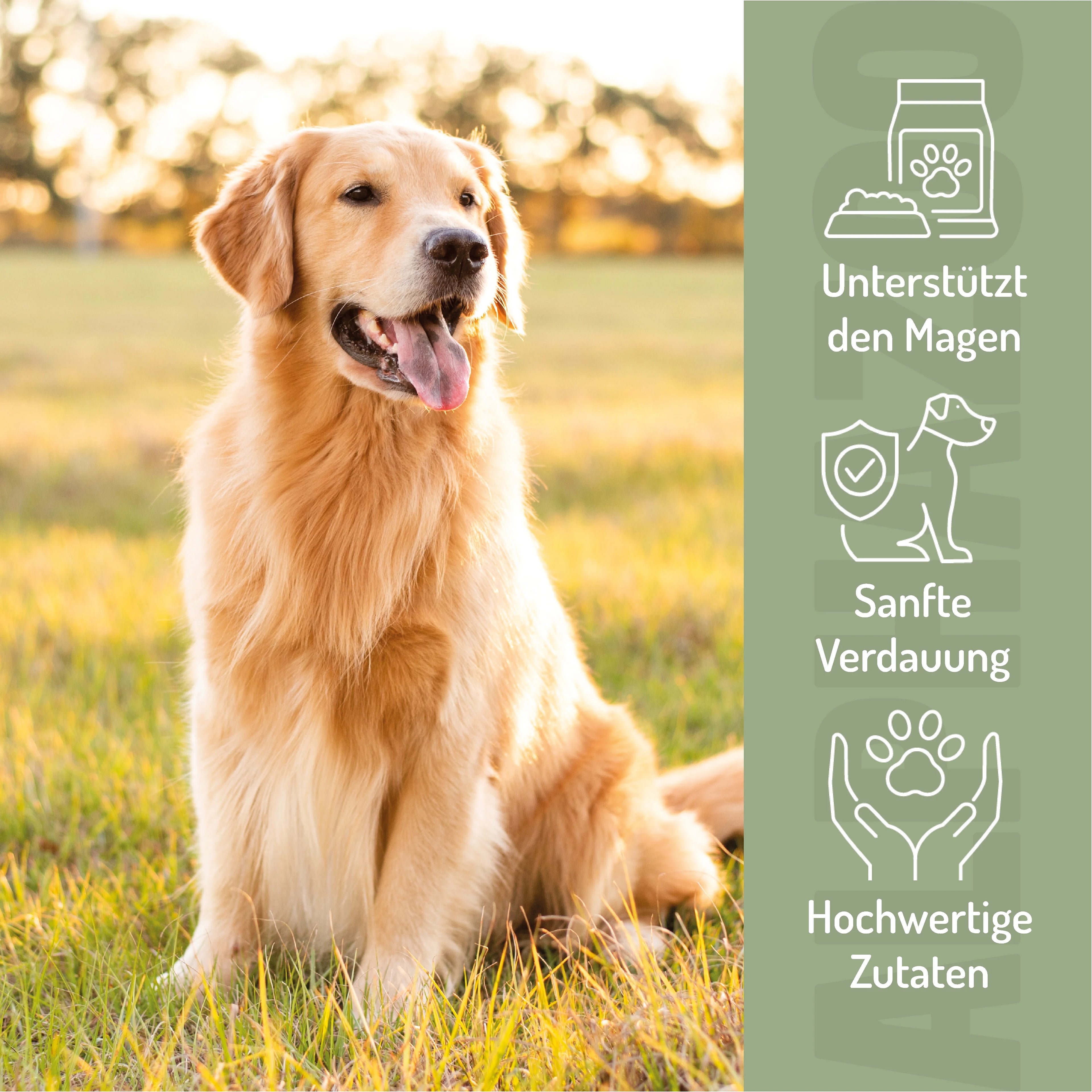 Fauchi Bauchi – Herzförmige Hundeleckerlis mit Präbiotikum, Erdnussbutter & Lachsöl