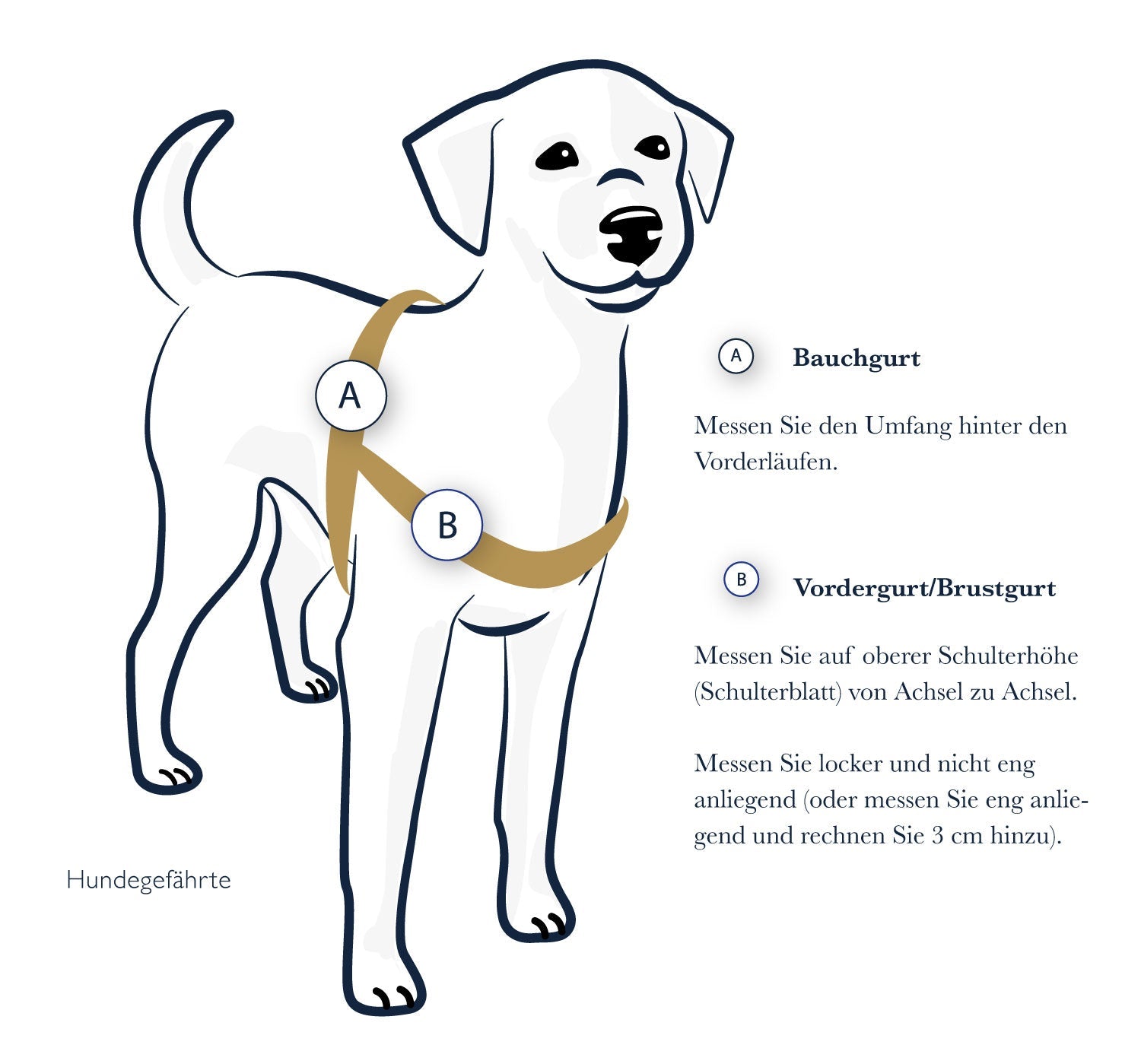Anti-Stress-Geschirr STURMFREI®, Größe S