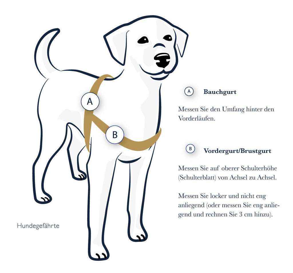 Anti-Stress-Geschirr STURMFREI®, Größe S für Kraftprotze
