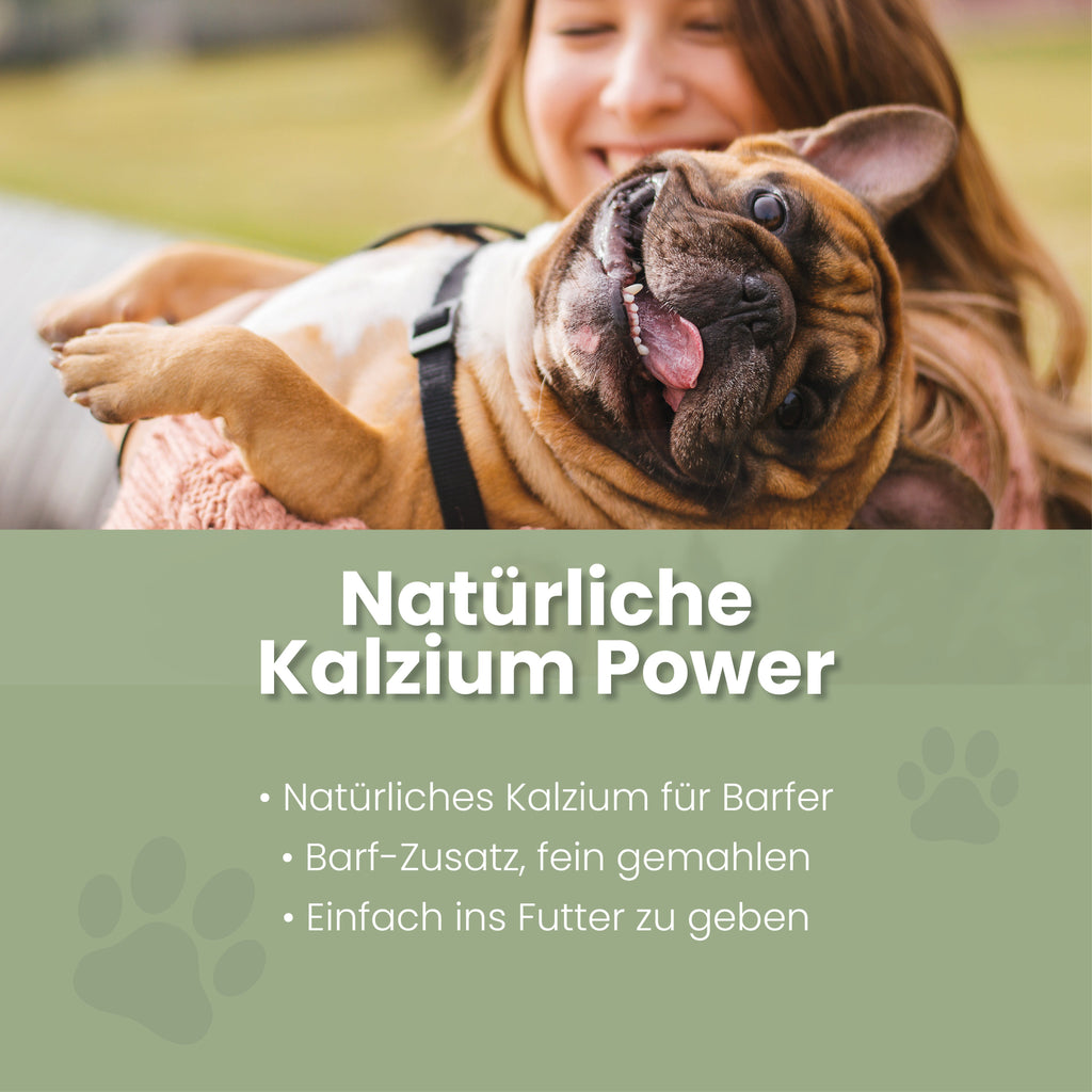 Eierschalenpulver für Hunde & Katzen – 36% Kalzium, ideal zum Barfen