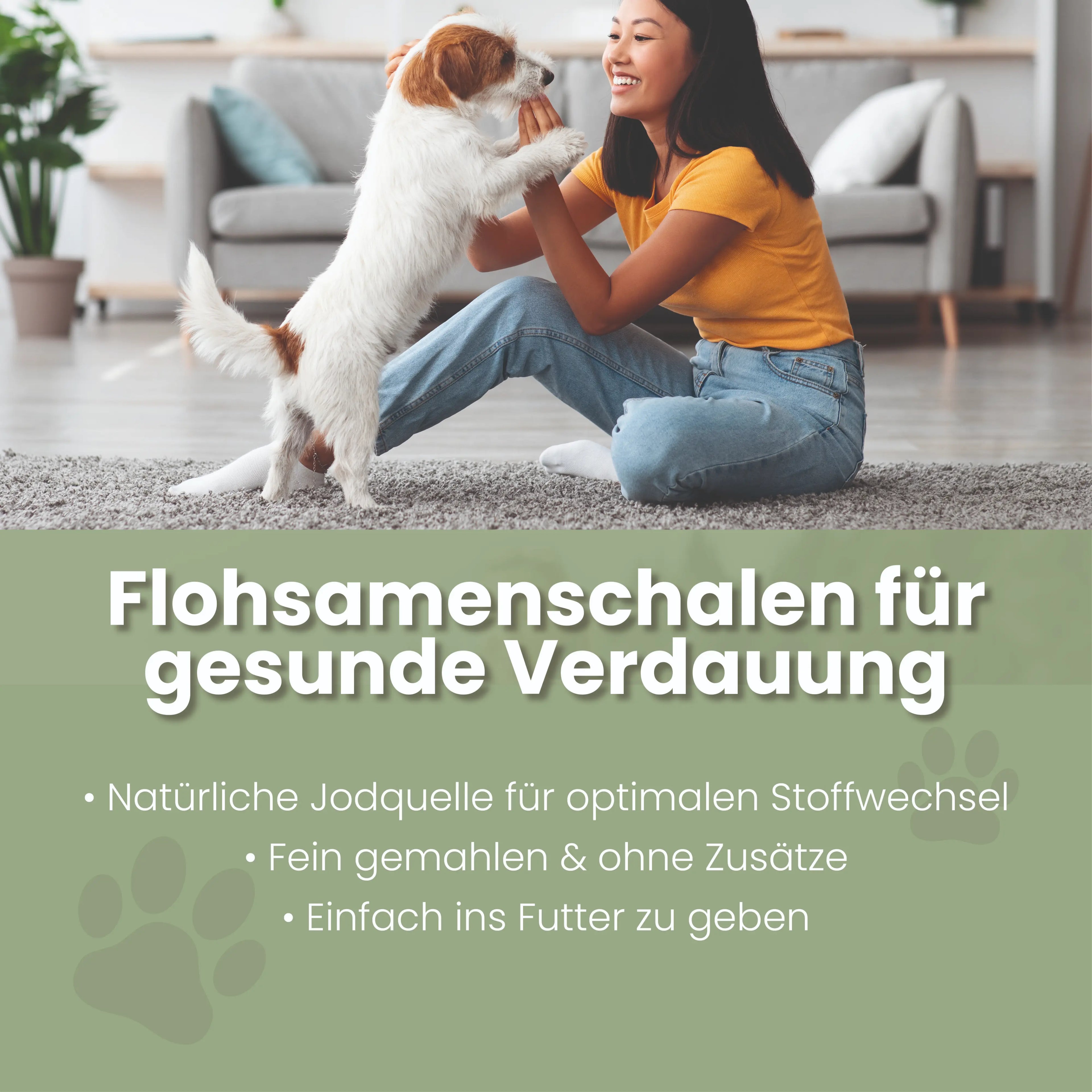 Flohsamenschalen gemahlen für Hunde & Katzen – 99% rein, glutenfrei
