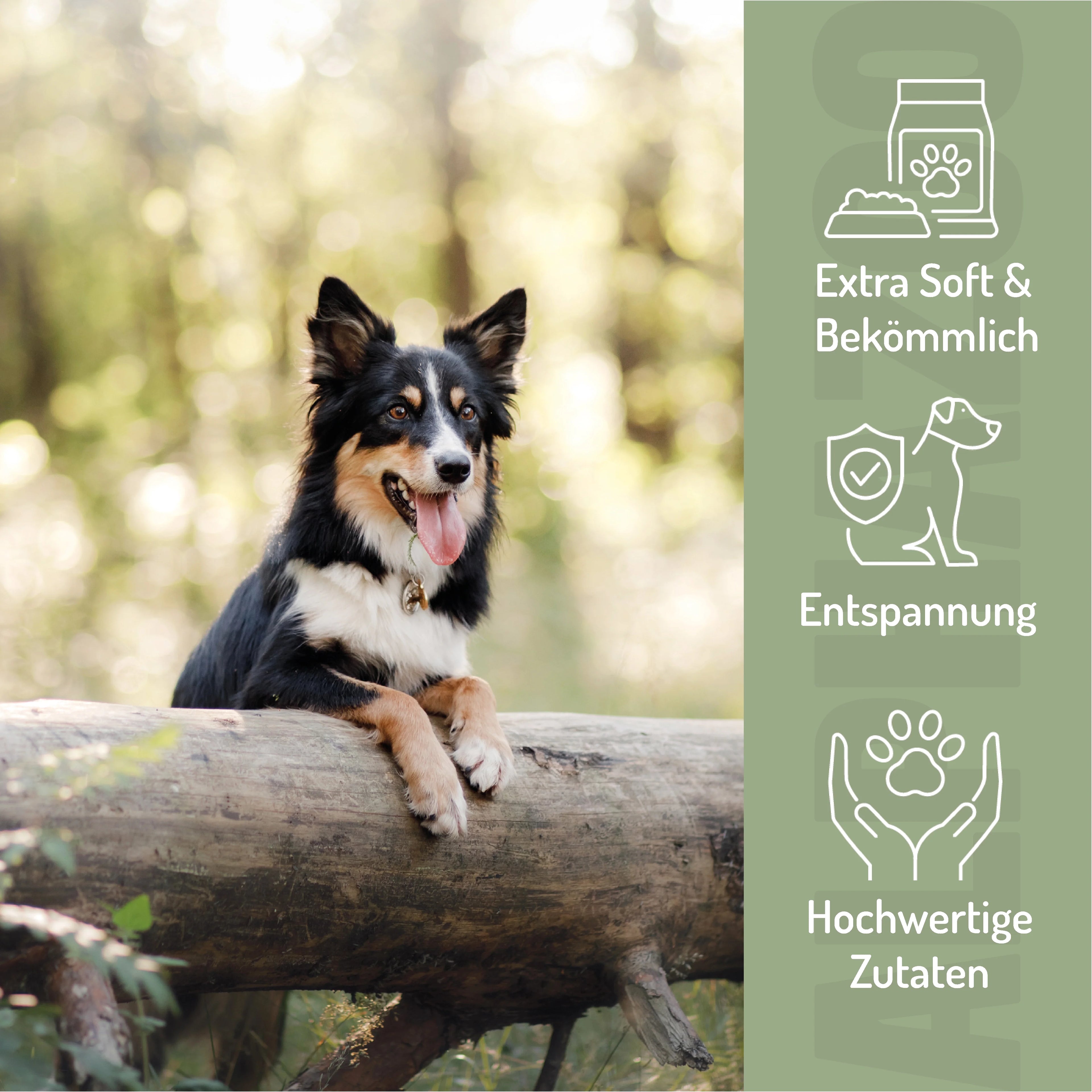 In Aller Seelenruhe – Beruhigungssnack für Hunde mit Baldrian, Ashwagandha & L-Tryptophan