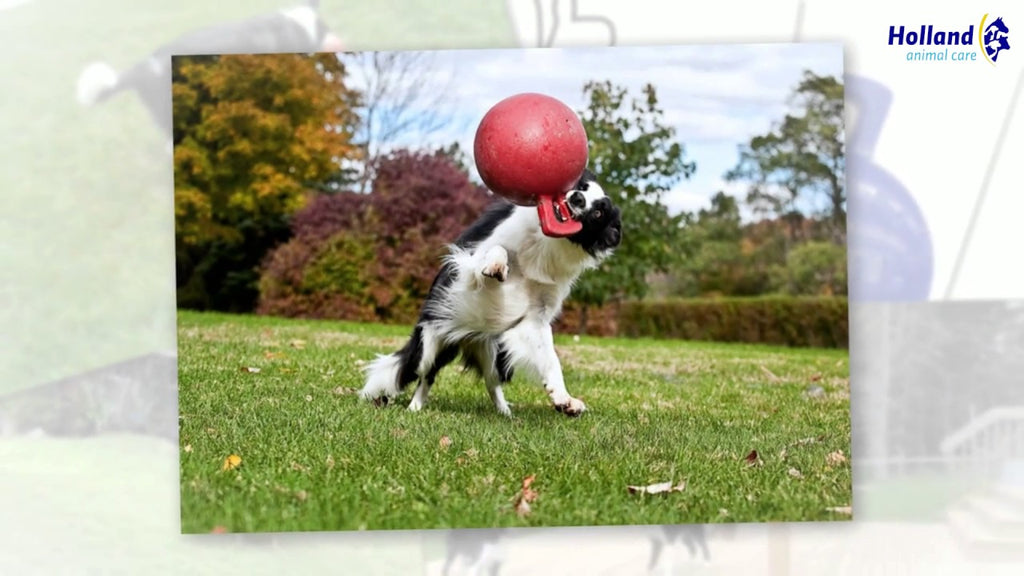 Jolly Tug-n-Toss Rot M (15 cm)