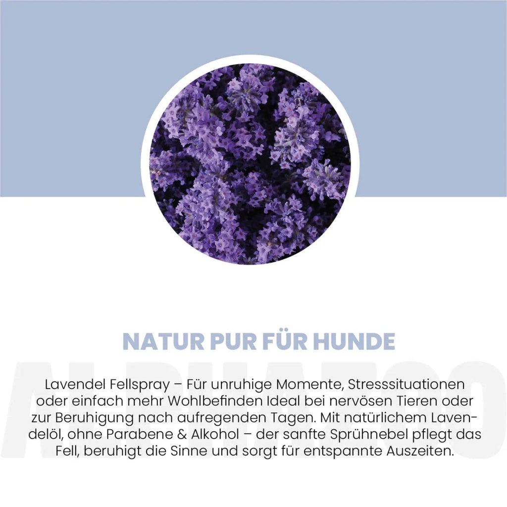 Lavellness Fellspray für Hunde – mit Lavendel, Sheabutter & Panthenol, silikonfrei