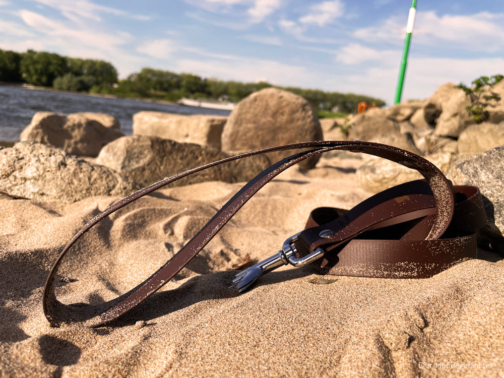 Hundeleine UM'S ECK (1,50 m) aus BioThane®/POP - Band