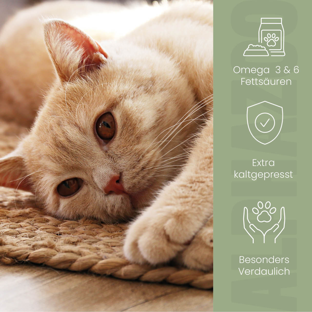 Leinöl für Katzen – kaltgepresst, 56% Omega-3, 100ml & 250ml
