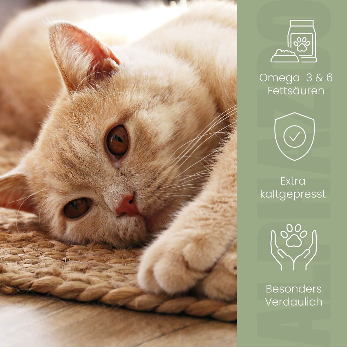 Leinöl für Katzen – kaltgepresst, 56% Omega-3, 100ml & 250ml