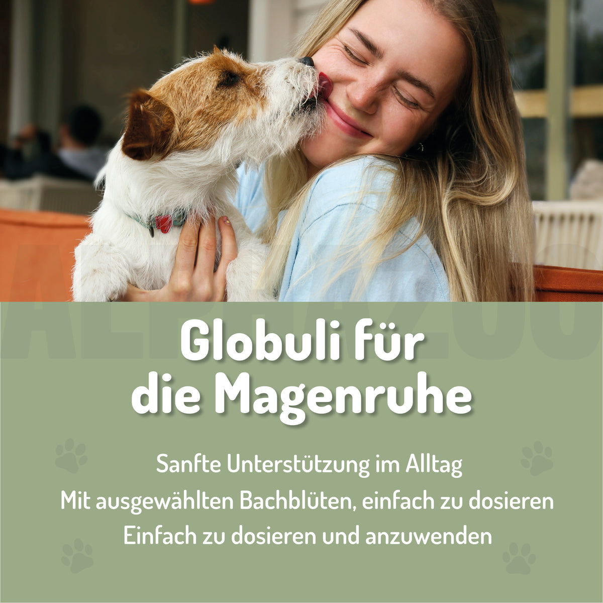 Magenruhe Bachblüten Globuli für Hunde & Katzen – 15g