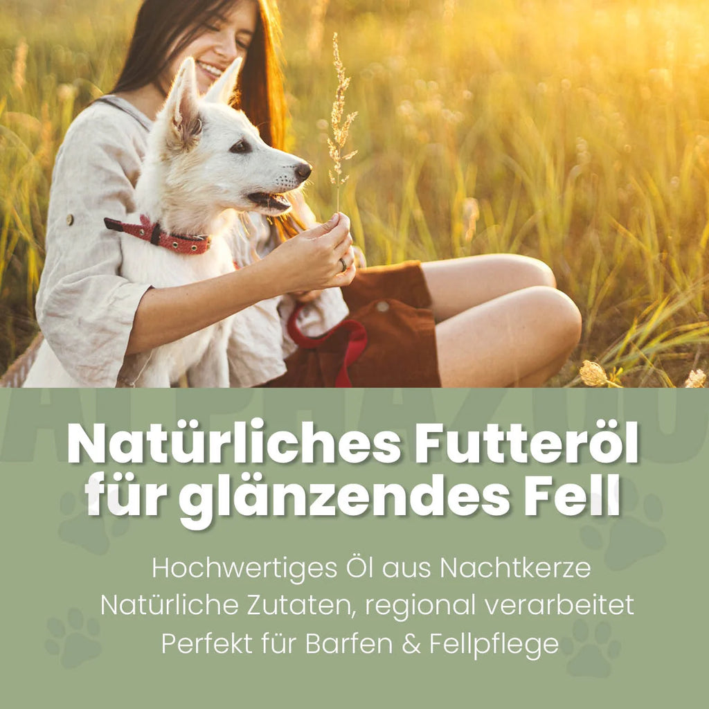 Nachtkerzenöl für Hunde – kaltgepresst & naturbelassen