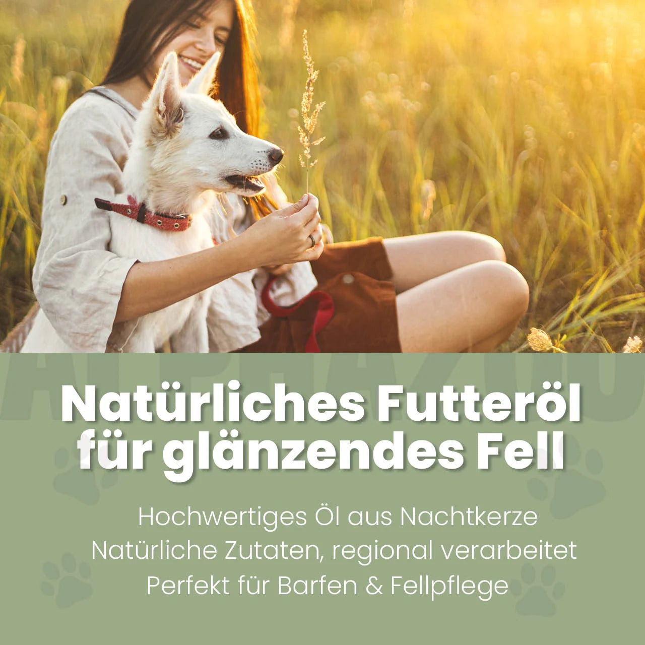 Nachtkerzenöl für Hunde – kaltgepresst & naturbelassen