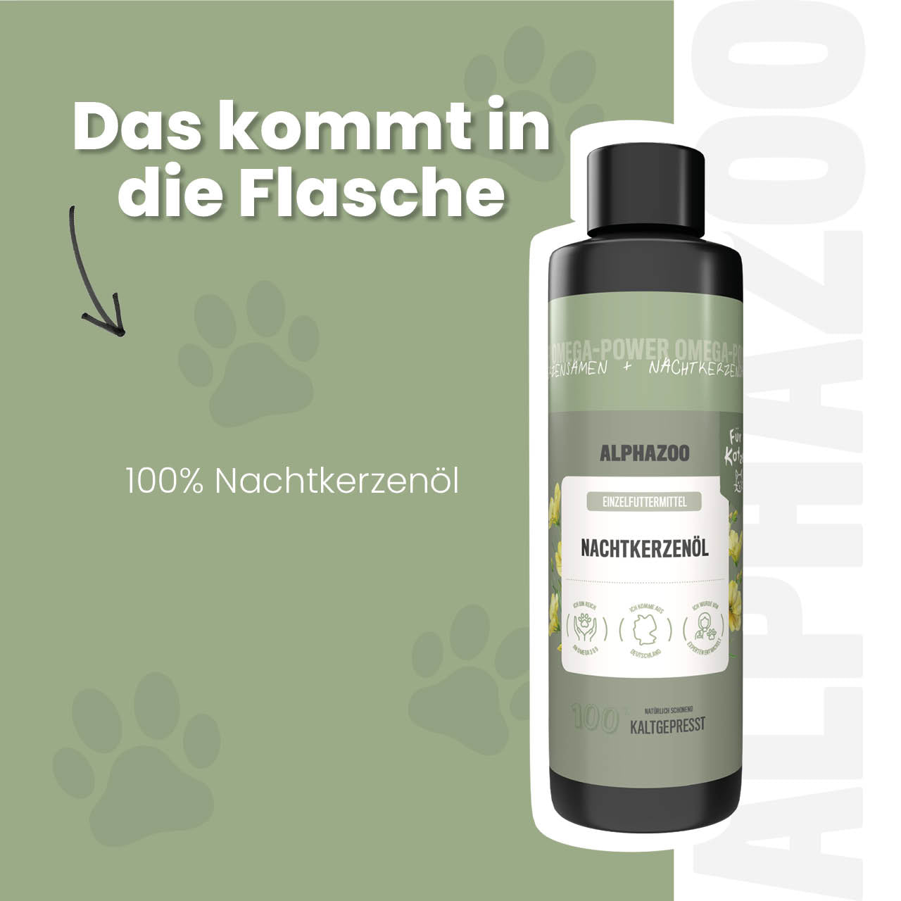Nachtkerzenöl für Katzen – kaltgepresst & naturbelassen