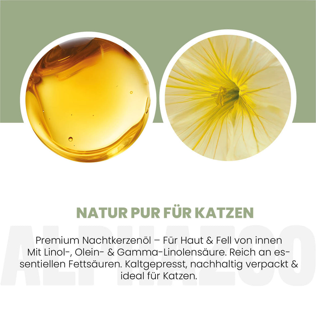 Nachtkerzenöl für Katzen – kaltgepresst & naturbelassen