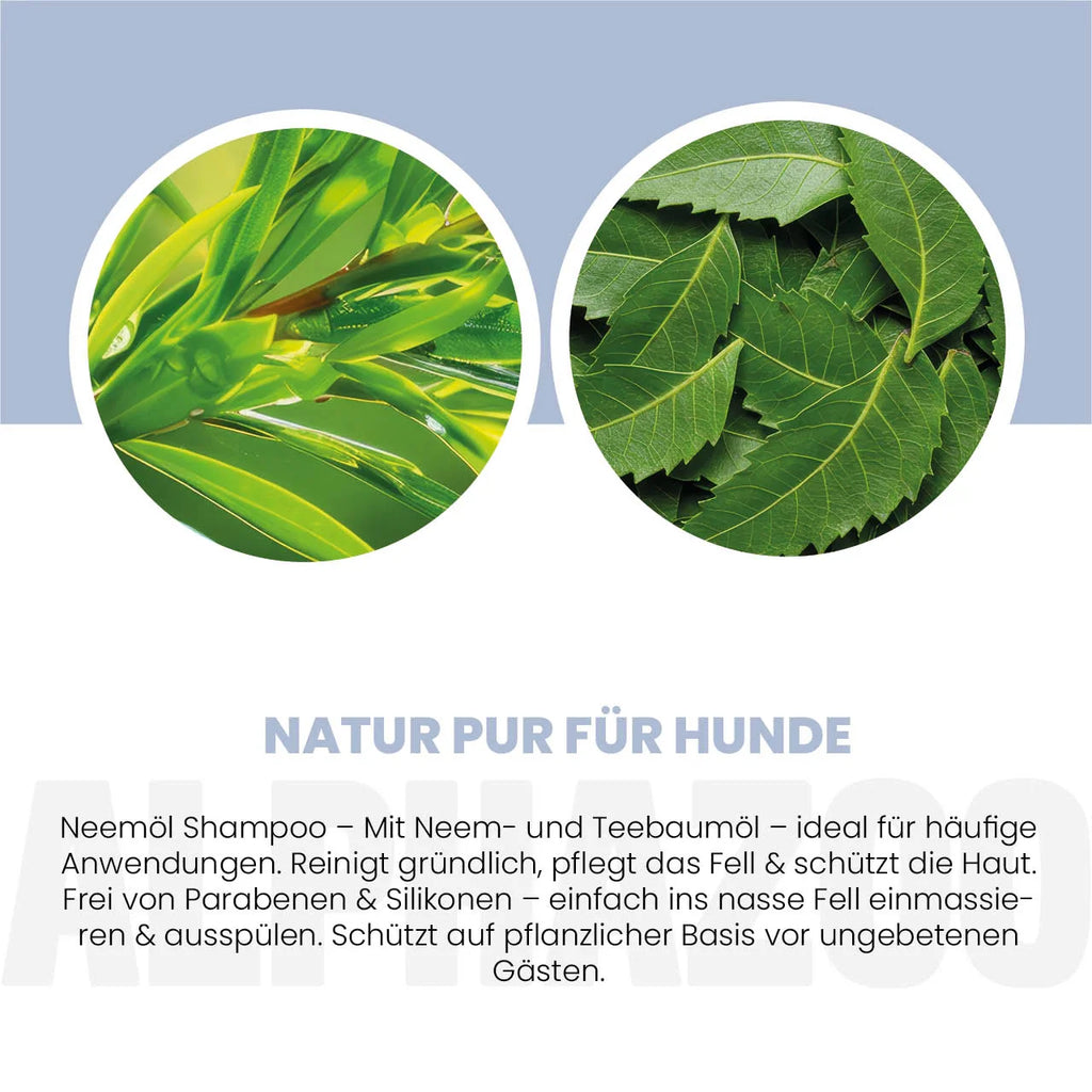 Neemöl Shampoo für Hunde – mit Neemöl & Teebaumöl, silikonfrei & parabenfrei