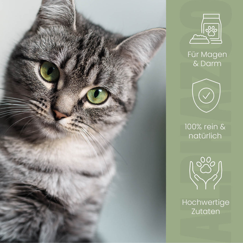 Pupsbremse Futteröl für Katzen – Lein, Hanf & Kürbiskern kaltgepresst