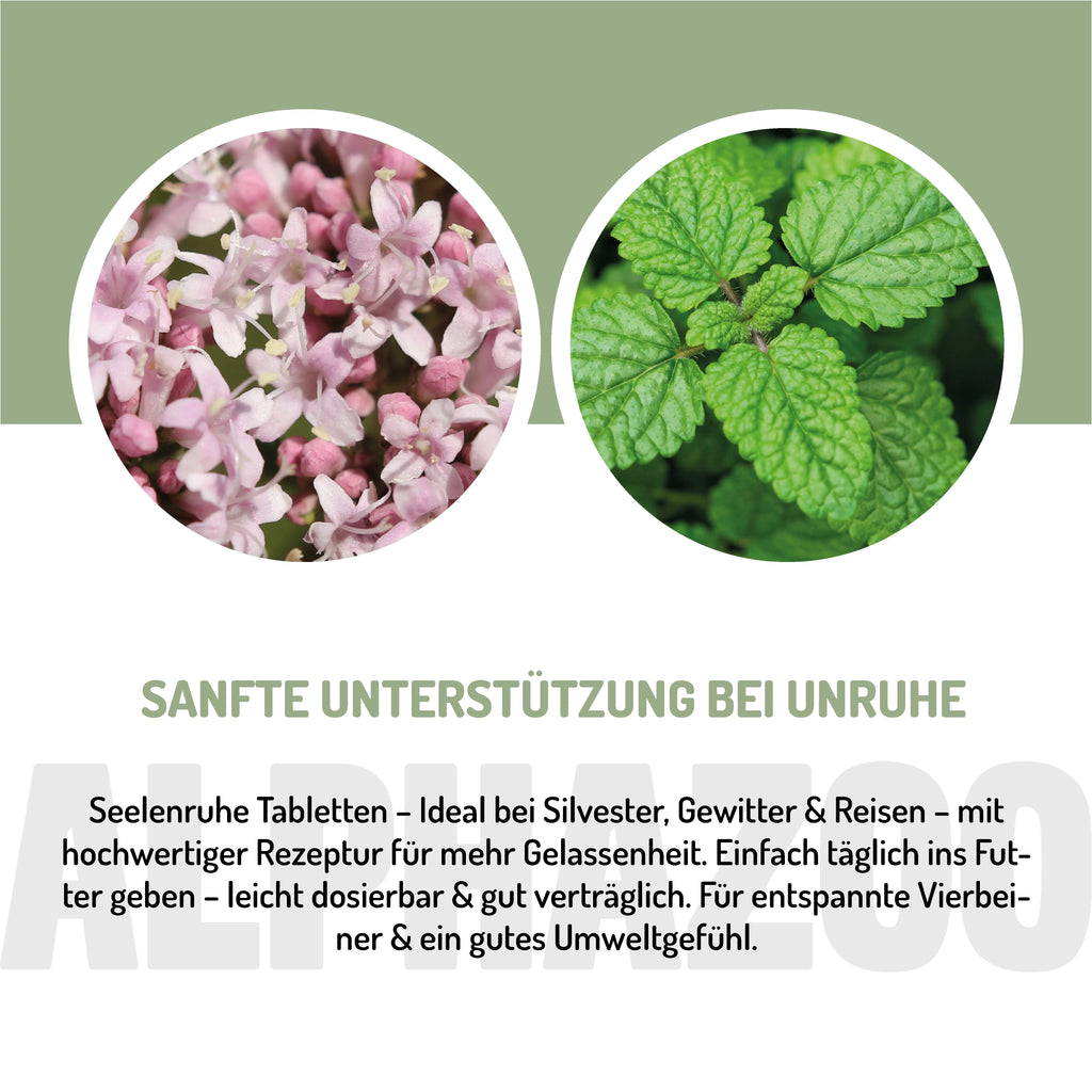 Seelenruhe Beruhigungs-Tabletten für Hunde – mit Baldrian & Melisse