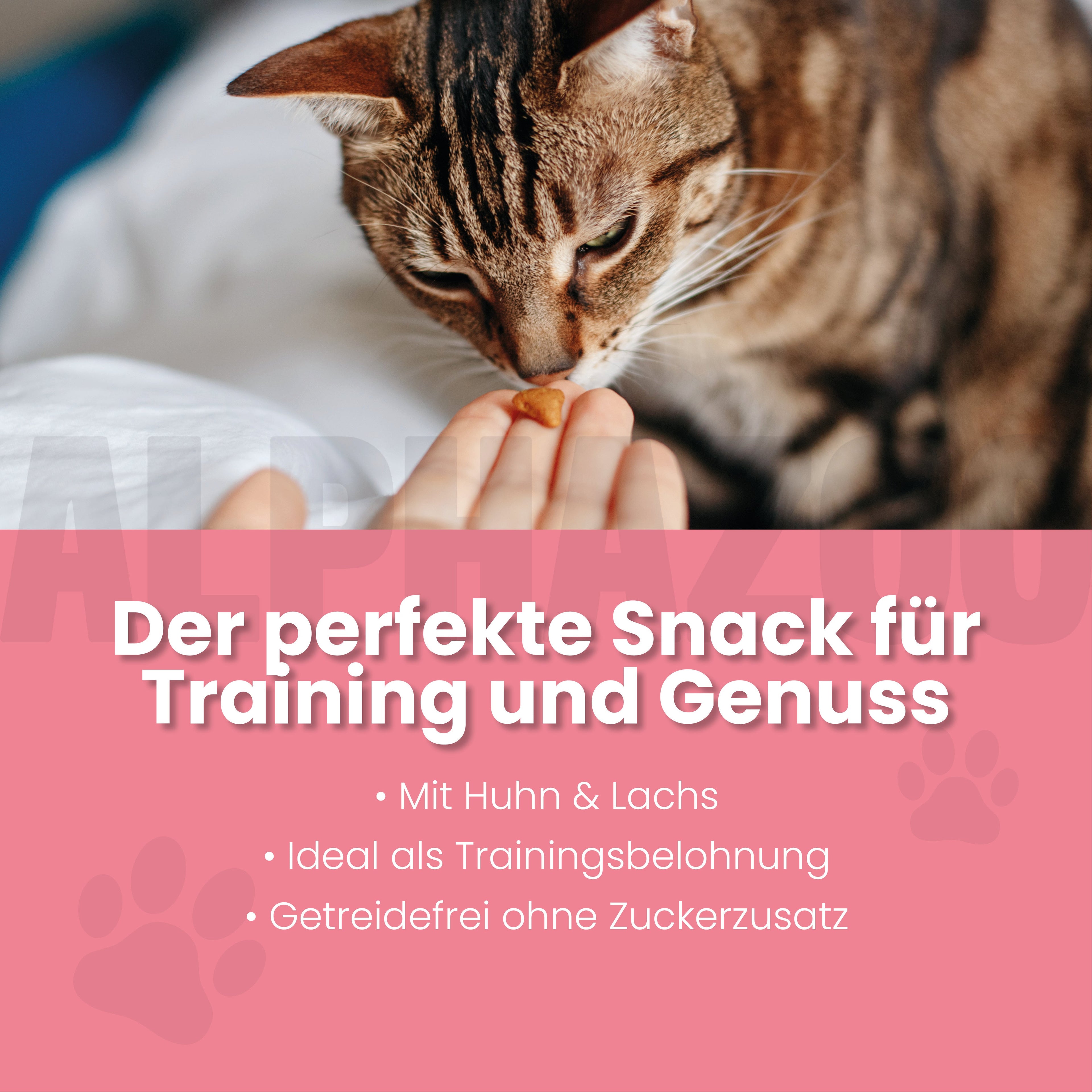 Verlachst Nochmal – Softsnack für Katzen, Lachs & Huhn, getreidefrei