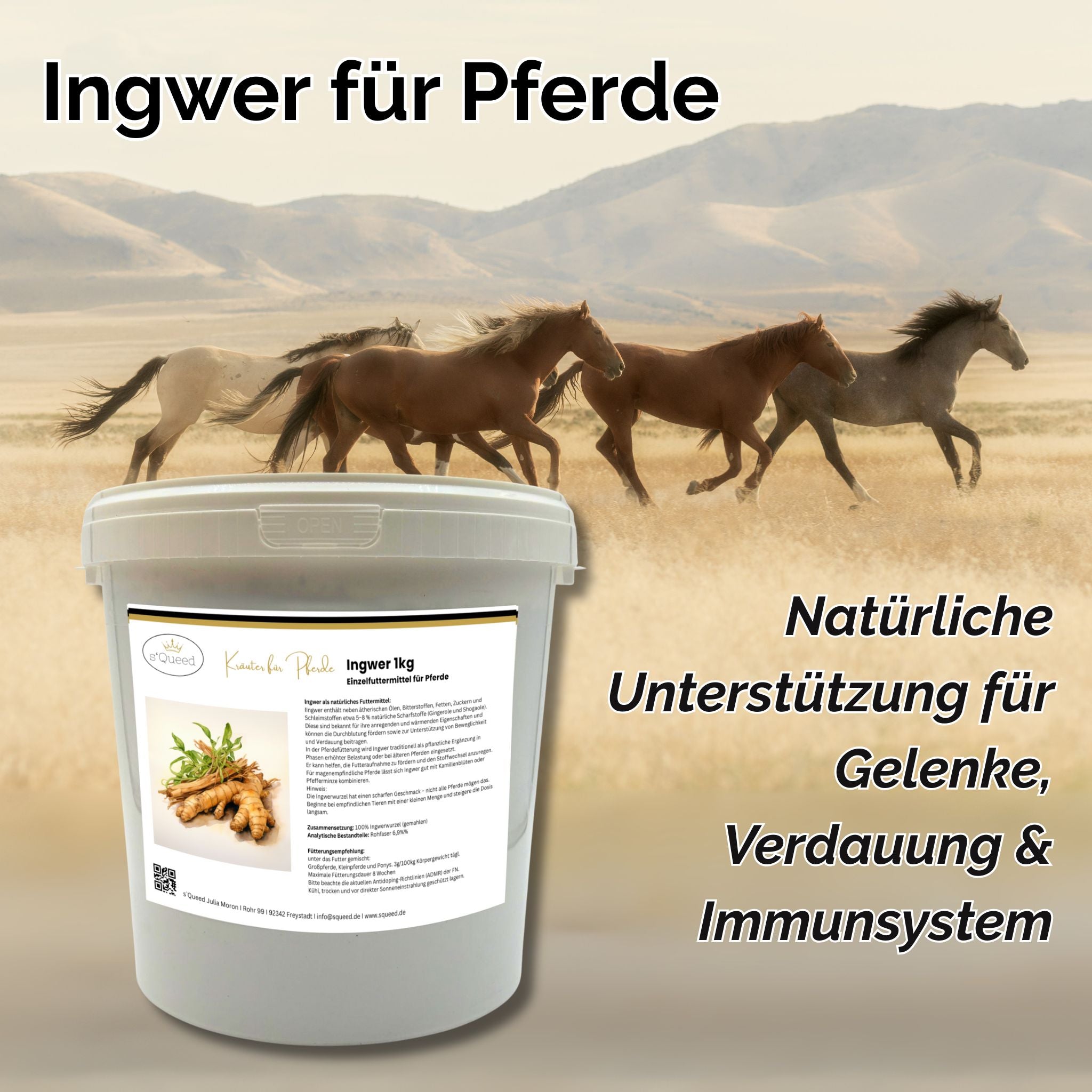Ingwer Pferd Pulver 1kg - TierVita
