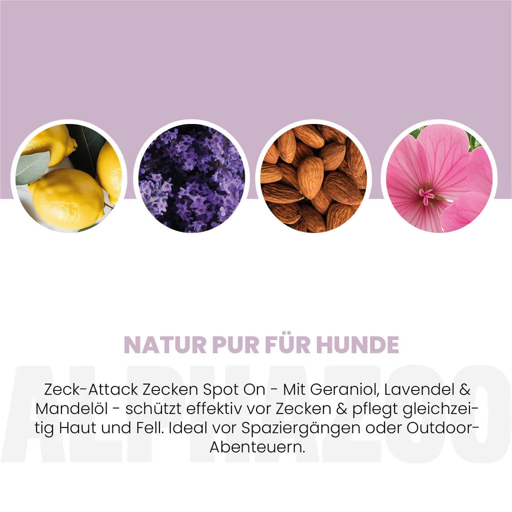 ZeckAttack Spot-On für Hunde – pflanzlich mit Lavendel, Mandel & Zitronen-Eukalyptus