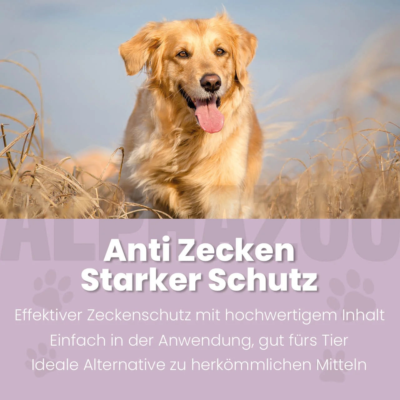ZeckAttack Spot-On für Hunde – pflanzlich mit Lavendel, Mandel & Zitronen-Eukalyptus